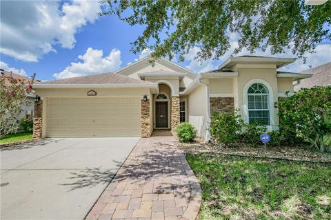 11476 Weston Course Loop, Riverview, FL 33579 photo 1