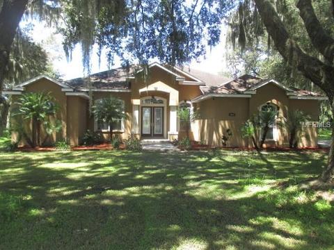 3408 Walden Ridge Pl, Dover, FL 33527 photo 1