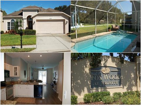 10729 Firebrick Ct, Trinity, FL 34655 photo 1
