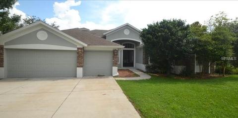 10544 Oakview Pointe Ter, Gotha, FL 34734 photo 1