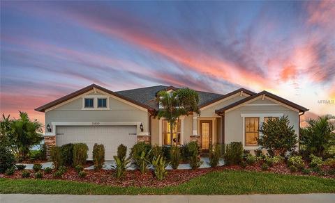 11726 Cork Blarney Loop, Riverview, FL 33579 photo 1