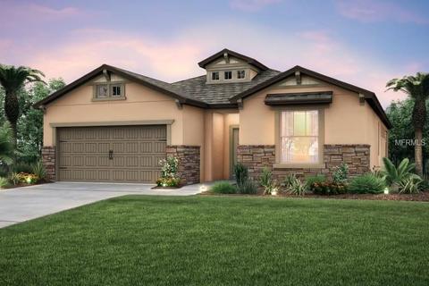 11629 Dublin Grafton, Riverview, FL 33579 photo 1