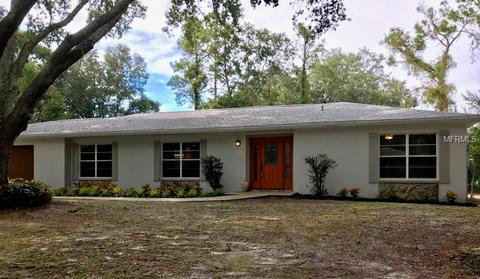 2504 Priscilla Ct, Lutz, FL 33559 photo 1