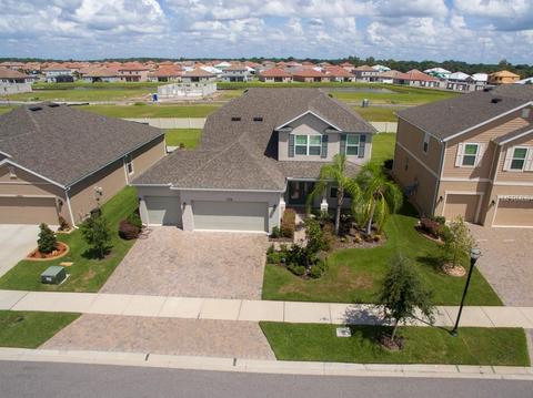 11908 Quack Grass Ct, Riverview, FL 33579 photo 1