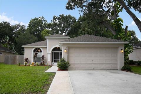 5723 Erhardt Dr, Riverview, FL 33578 photo 1