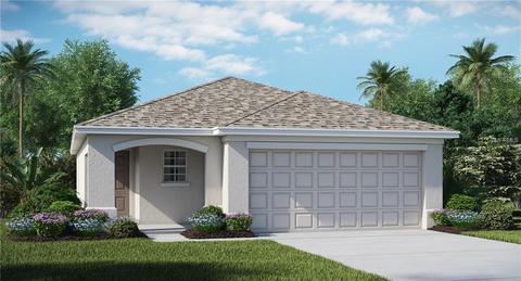 12741 Lemon Pepper Dr, Riverview, FL 33578 photo 1