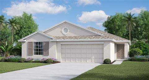 12705 Lemon Pepper Dr, Riverview, FL 33578 photo 1