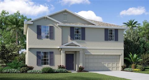 12621 Lemon Pepper Dr, Riverview, FL 33578 photo 1