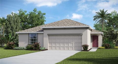 14142 Covert Green Pl, Riverview, FL 33579 photo 1