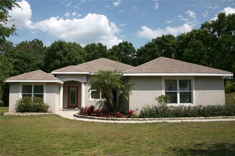 1145 Oxbow Rd, Wimauma, FL 33598 photo 1