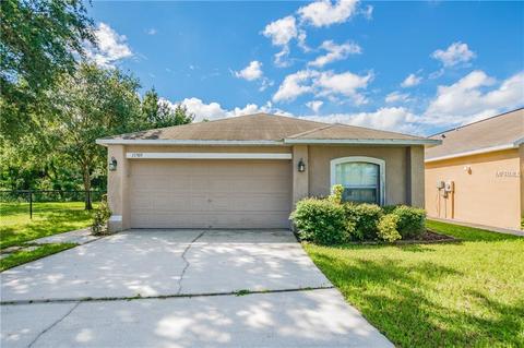 11705 Ivy Flower Loop, Riverview, FL 33578 photo 1
