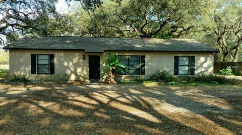 6239 Williams Rd, Seffner, FL 33584 photo 1