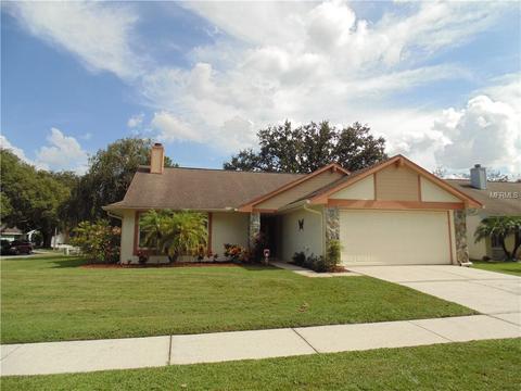 2004 Branch Tree Ln, Brandon, FL 33511 photo 1