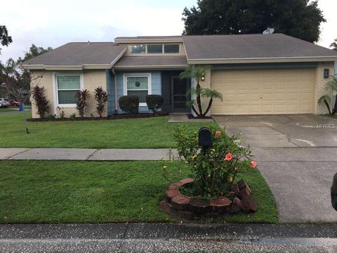 734 Stillview Cir, Brandon, FL 33510 photo 1