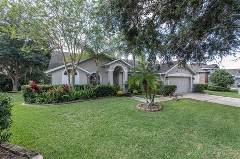 7214 Bucks Ford Dr, Riverview, FL 33578 photo 1