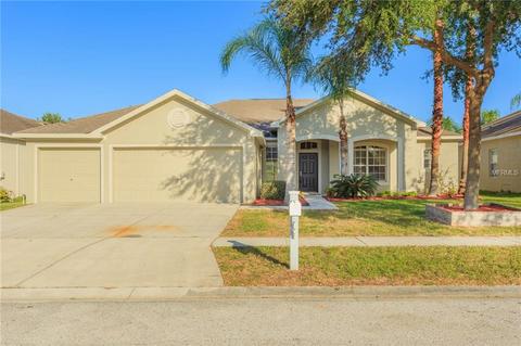 12404 Bramfield Dr, Riverview, FL 33579 photo 1