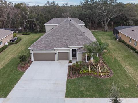 1043 Tracey Ann Loop, Seffner, FL 33584 photo 1
