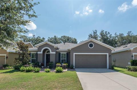 16007 Courtside View Dr, Lithia, FL 33547 photo 1