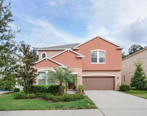 11812 Twilight Darner Pl, Riverview, FL 33569 photo 1