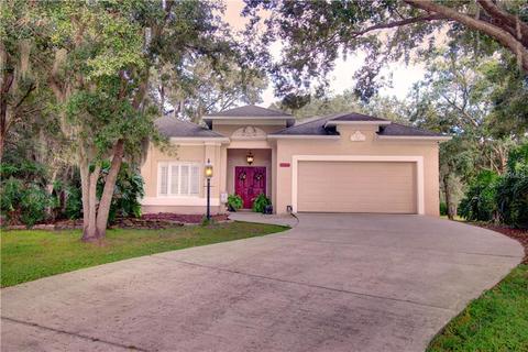 10404 Kankakee Ln, Riverview, FL 33569 photo 1