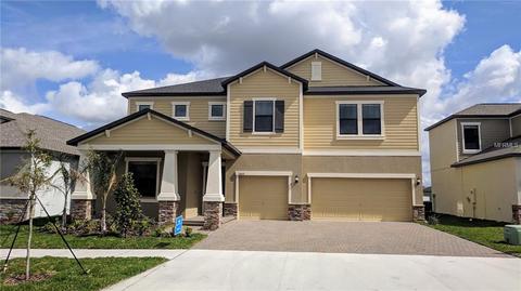 13610 White Sapphire Rd, Riverview, FL 33579 photo 1