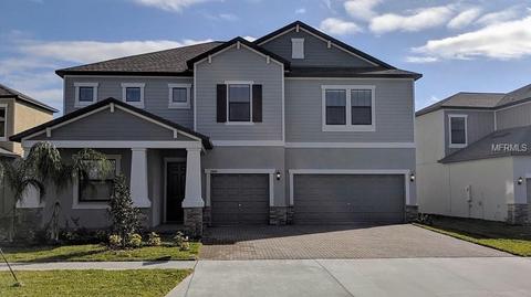 13604 White Sapphire Rd, Riverview, FL 33579 photo 1