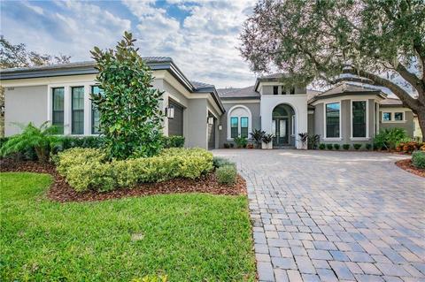 10312 Altrara Way, Trinity, FL 34655 photo 1