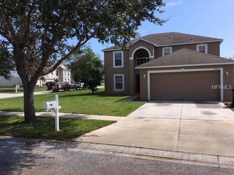 12902 Brookcrest Pl, Riverview, FL 33578 photo 1
