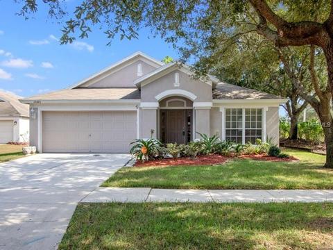 10601 Egret Haven Ln, Riverview, FL 33578 photo 1