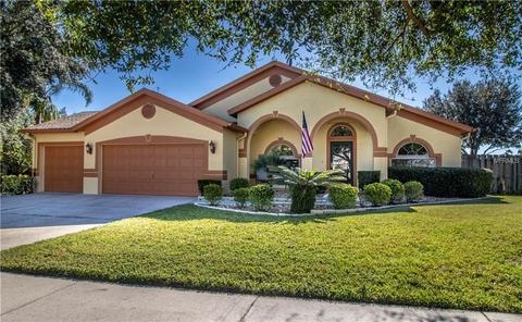 10316 Sedgebrook Dr, Riverview, FL 33569 photo 1