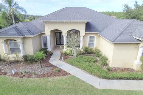 19618 Eagle Crest Dr, Lutz, FL 33549 photo 1