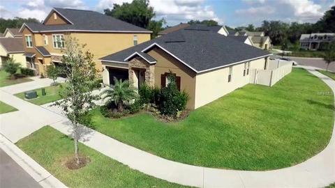 11910 Twilight Darner Pl, Riverview, FL 33569 photo 1