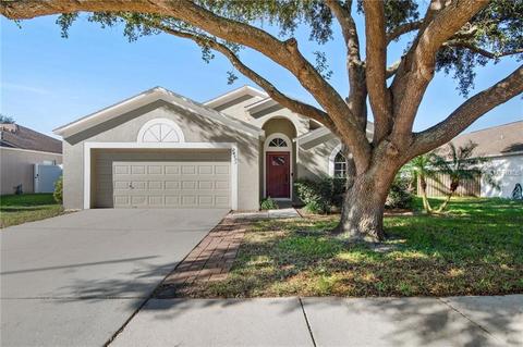 24331 Rolling View Ct, Lutz, FL 33559 photo 1