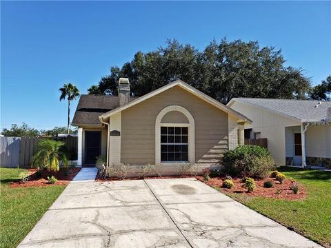 13210 Laraway Ct, Riverview, FL 33579 photo 1