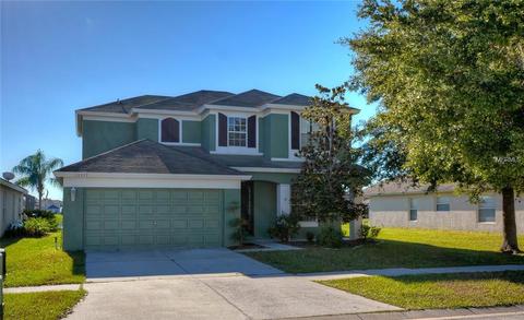 13317 Evening Sunset Ln, Riverview, FL 33579 photo 1