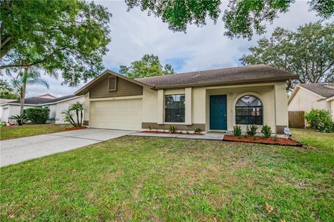 11310 Blackbark Dr, Riverview, FL 33579 photo 1