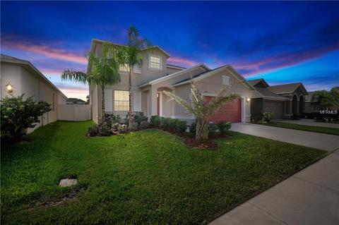 12421 Ballentrae Forest Dr, Riverview, FL 33579 photo 1