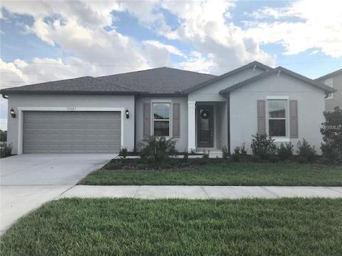 11681 Brighton Knoll Loop, Riverview, FL 33579 photo 1