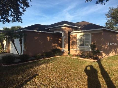12126 Buffington Ln, Riverview, FL 33579 photo 1