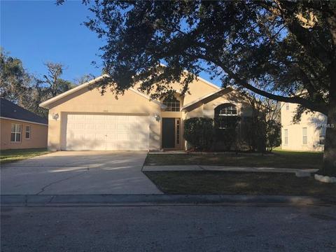 11802 Mango Groves Blvd, Seffner, FL 33584 photo 1