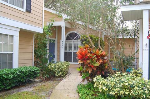 3067 Pointer Dr, Palm Harbor, FL 34683 photo 1