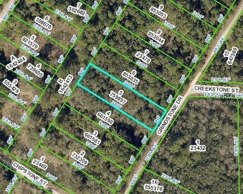 34369 Grindstone Dr, Webster, FL 33597 photo 1