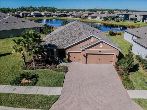 1871 Fox Grape Loop, Lutz, FL 33558 photo 1