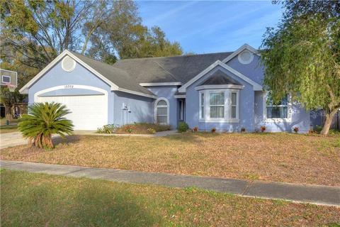 10302 Sedgebrook Pl, Riverview, FL 33569 photo 1