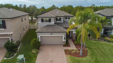 18827 Deer Tracks Loop, Lutz, FL 33558 photo 1