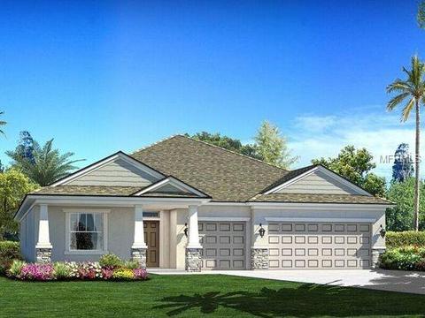 12439 Brick Cobblestone, Riverview, FL 33579 photo 1