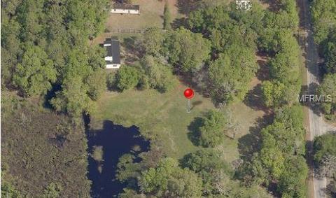 10202 Judy Rd, Dover, FL 33527 photo 1