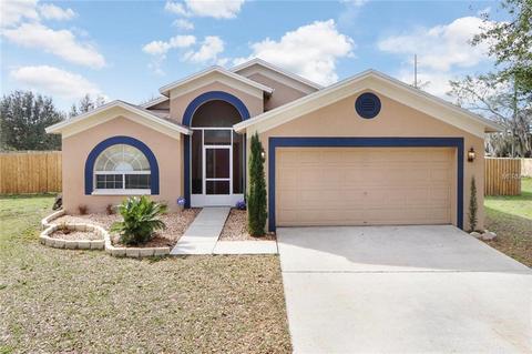 10103 Deepbrook Dr, Riverview, FL 33569 photo 1