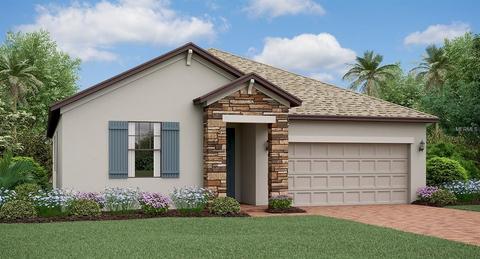 13232 Orca Sound Dr, Riverview, FL 33579 photo 1