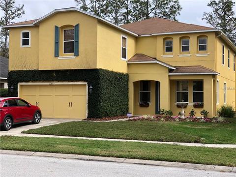 7260 Bridgeview Dr, Wesley Chapel, FL 33545 photo 1